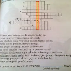 Cecha charakterystyczna w krzyżówce: wszystkie synonimy i rozwiązania