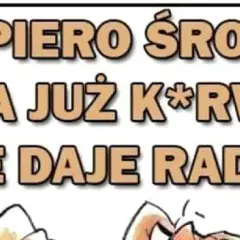 Obrazki na Środę - Środa GIF | Śmieszne Gify na Środę