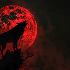 Premiera Dragon Age: Dreadwolf - EA zaplanowana na ten rok