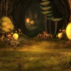 Bóstwa i kusiciele w Skyrim - kompletny poradnik dla początkujących graczy
