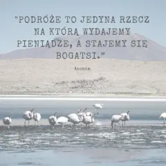Poznaj najpiękniejsze krótkie cytaty o lecie i wakacyjnych chwilach
