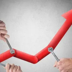 Noble Fund Stabilnego Wzrostu Plus: kompletna analiza i wyniki funduszu