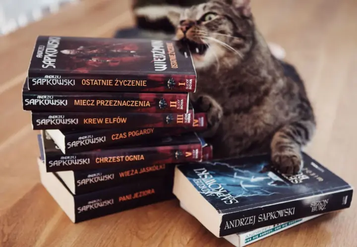 Książki Wiedźmin po kolei - Jak czytać Wiedźmina, Chronologia Wiedźmina