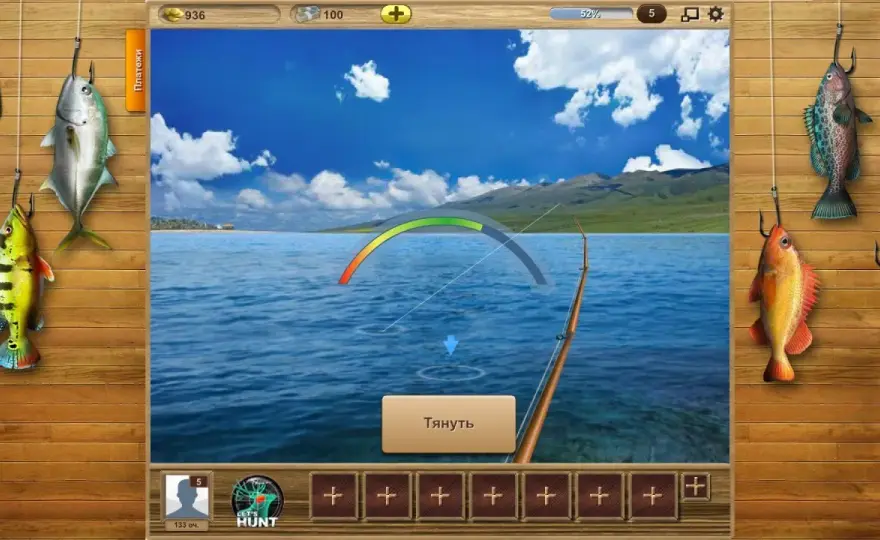 Problemy z logowaniem w Let's Fish? Błyskawiczne fixy dla graczy