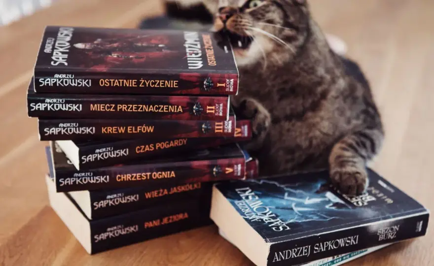 Książki Wiedźmin po kolei - Jak czytać Wiedźmina, Chronologia Wiedźmina