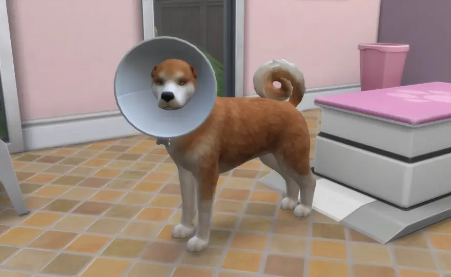 Odbierz za darmo dodatek The Sims 4 ze zwierzętami domowymi